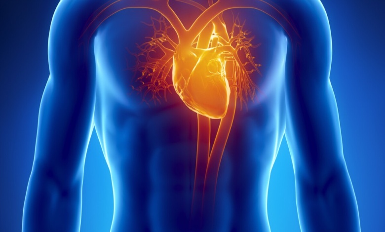 ضربان قلب خطرناک چند است؟