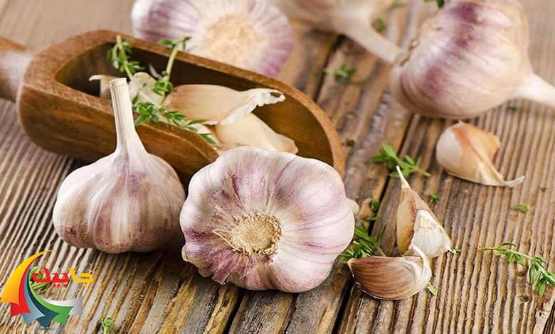 سیر؛ داروی ضد شپش خانگی