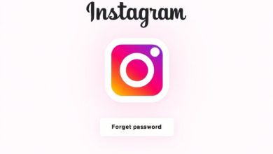 چجوری رمز اینستامو پیدا کنم